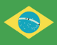 Português